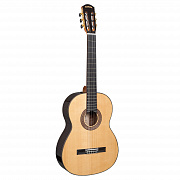 CASCHA CGC310 Performer Series