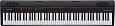Roland GO-88P