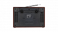 RITMIX RPR-102 CARBON