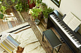 CASIO Privia PX-870BKC2, без адаптера