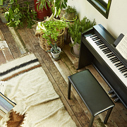 CASIO Privia PX-870BKC2, без адаптера