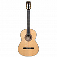 CASCHA CGC310 Performer Series