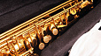 Conductor FLT-SAL