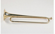 Sebastian Pioneer Horn