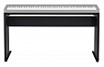 CASIO CS-68PBK