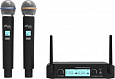 RITMIX RWM-222 black