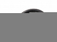 WBO Regal-Ebony