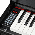 EMILY PIANO D-52 BK