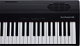 Roland GO-88P