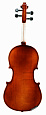 ALINA AAV014