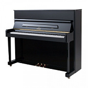 Petrof P 118P1 (0801)