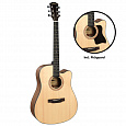 CASCHA CGC300 Performer Series
