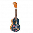 Bamboo BU-21 Aurora