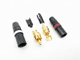 ZZcable E56-2RCA-2RCA-0200-0
