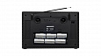 RITMIX RPR-102 CARBON