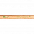STAGG SM2B