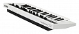 YAMAHA REFACE CS