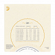 D`ADDARIO EJ81