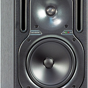 BEHRINGER B2030A