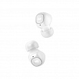 Ecosystem Monster N-Lite 110 AirLinks