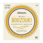 D`ADDARIO EJ81