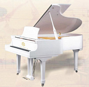 SAM MARTIN GP-186W