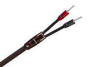 AudioQuest Type 5 FR-BFAS