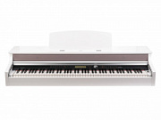 MEDELI DP388-GW