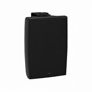 TANNOY DVS 6