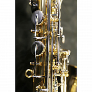 Stephan Weis AS-100D