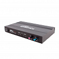 RITMIX RWM-221
