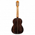 CASCHA CGC310 Performer Series