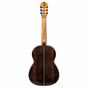 CASCHA CGC310 Performer Series