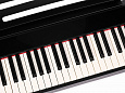 Nux Cherub NPK-10-BK