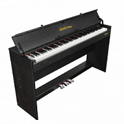 EMILY PIANO D-52 BK