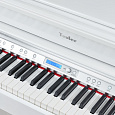 TESLER STZ-8870 ROYAL WHITE