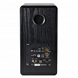 Radiotehnika S-20NA Black Ash