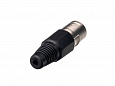 Soundking CA102