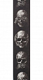 PLANET WAVES 50AL01 Alchemy Gothic