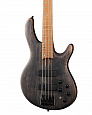 Cort B4-Element-OPTB Artisan Series