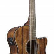 IBANEZ AEG61-NMH