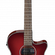 IBANEZ AEG51-TRH