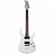 Fernandes RXX06 SW