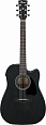 IBANEZ AW1040CE-WK