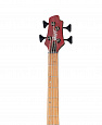 Cort B4-Element-OPBR Artisan Series