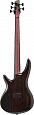 IBANEZ SR1305SB-MGL