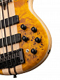Cort A5-Plus-SC-AOP Artisan Series