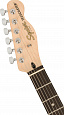 FENDER SQUIER Affinity 2021 Telecaster Deluxe LRL Burgundy Mist