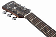 IBANEZ AW247CE-OPN