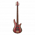 IBANEZ SR305EDX-RGC